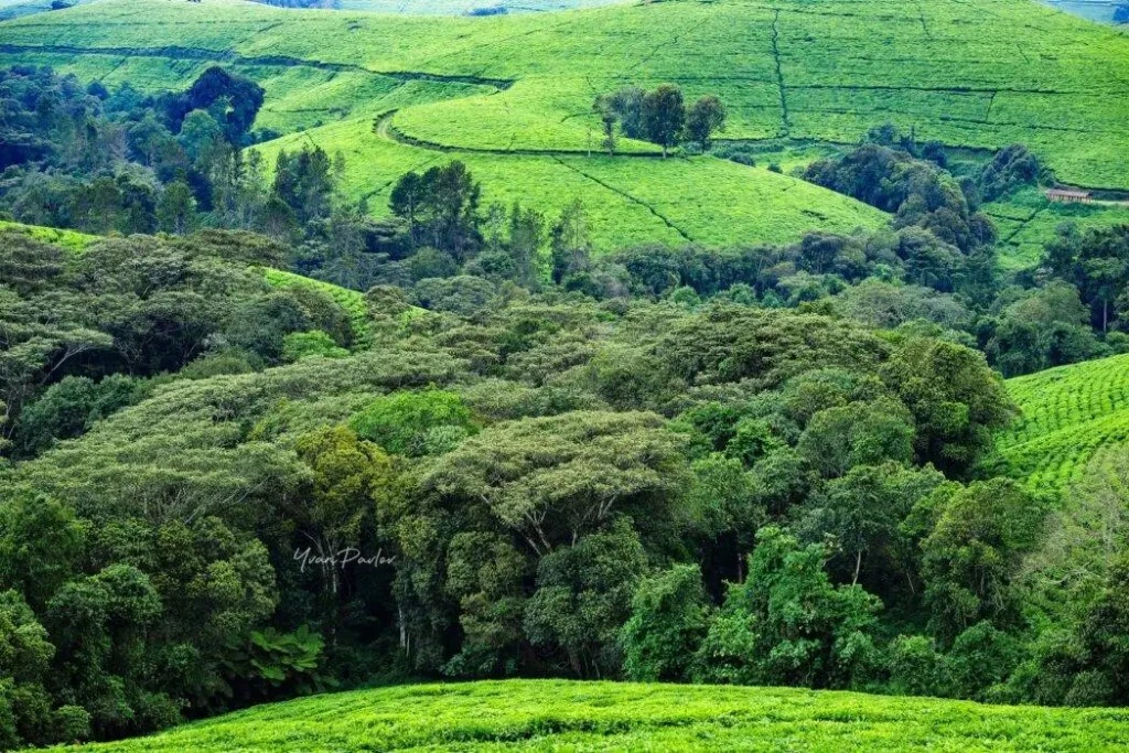 Illustration paysage institutionnel SOPEBU